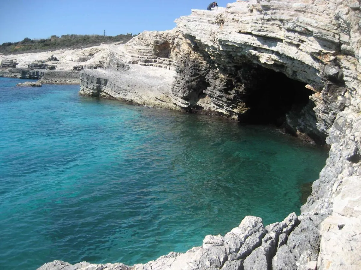 Apartment Ivis Vinkuran Croatia